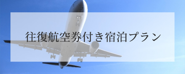 航空券付き宿泊プラン